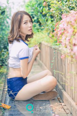 贞观憨婿